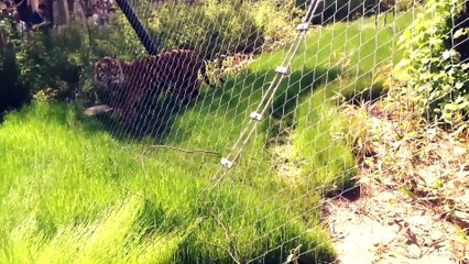 WEIRD PEOPLE AT THE ZOO - YouTube