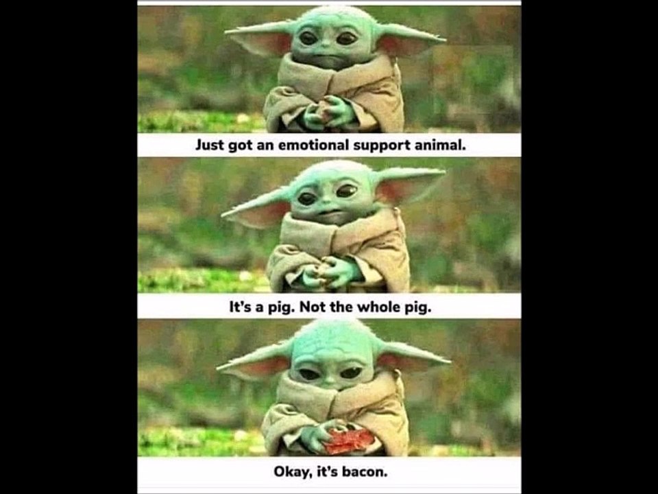 11723 FUNNY Laugh Out Loud Hilarious Memes Jokes Cartoons