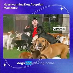 Heartwarming Dog Adoption Moments!