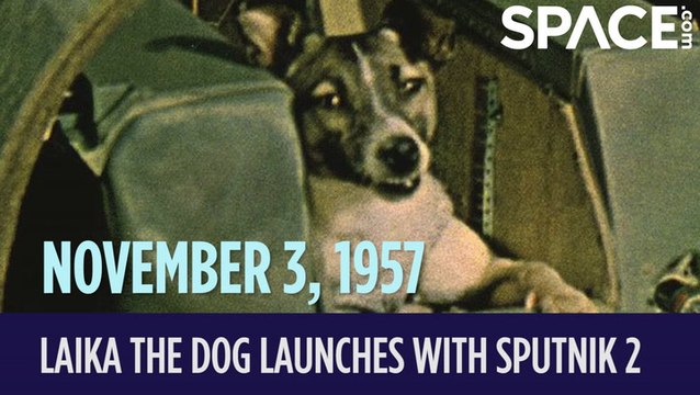 OTD In Space - November. 3: Laika The Dog Launches With Sputnik 2