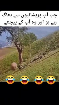 #جب آپ مشکلات اور پر یشانیوں سے بھاگ رہے ہو اور وہ آپ کے پیچھے پیچھے ۔ #fbreel...s #viralpost2024 #funnyrreels #funnymoments #funnyreels #funnyvideos #islamabadbeautyofpakistan