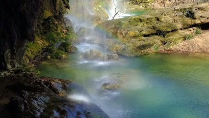 natural history. nature