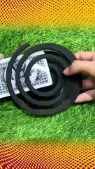 Tips Trick Today, Senin 04 November 2024