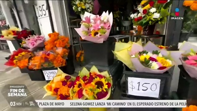 Cempasúchil, la flor más buscada por los regios el Día de Muertos