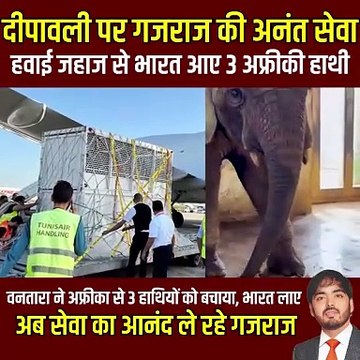 वन्यजीव प्रेम के प्रतीक अनंत अंबानी, दीपावाली पर गजराज सेवा, अफ्रीकी हाथियों को भारत लाकर उन्होंने दिखाया कि करुणा और सेवा में कितनी शक्ति है #Vantara #Elephants #Animals #AnantAmbani #WildlifeRescue #Africanelephants #AnimalCare, #Jamnagar