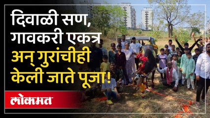 ग्रामीण भागात दिवाळी सणाची मजाच वेगळी...पहा व्हिडिओ