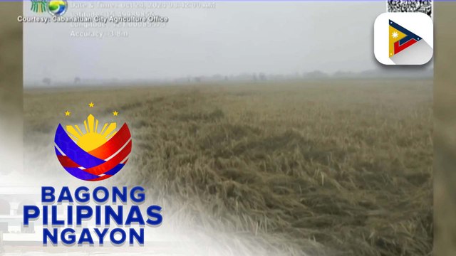 Panayam kay DA Spokesperson Asec. Arnel De Mesa kaugnay sa update sa tulong para sa mga magsasakang apektado ng Bagyong #KristinePH at initial insurance payment sa mga nasira ng bagyong nagdaan