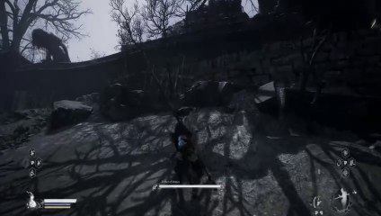 Quick firer quick fast #Wukong #blackmythwukong #gaming #game