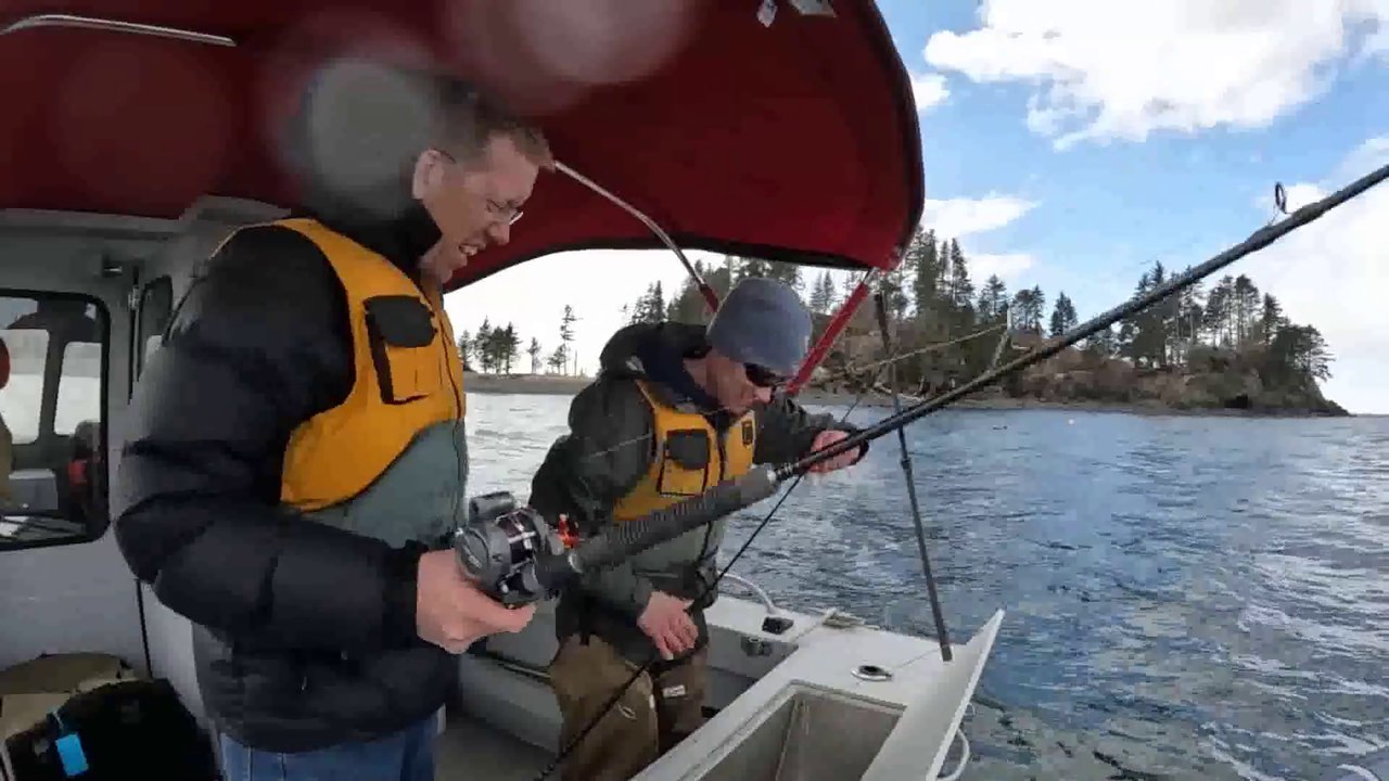 Hunting Giant Octopus, Fishing & Costal Foraging - 3 Day Camping Catch & Cook Adventure in Alaska