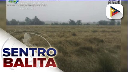 P1-B na Quick Response Fund para sa mga magsasaka at mangingisda, handa na ayon sa D.A.