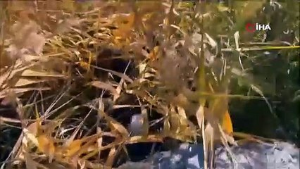 Kars'ta 2 yıldır aranan cinayet zanlısı kırsalda yakalandı
