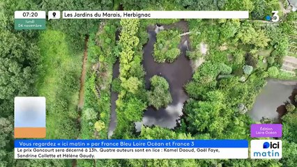 04/11/2024 - ICI Matin France Bleu Loire Océan en vidéo