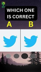 Can you guess the answer just in 5 seconds