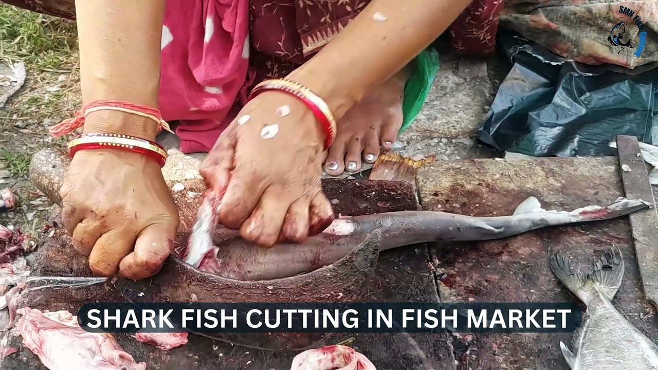 Shark Fish Cutting In Fish Market - SMN Fish Cutting