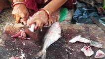 Catla Carp Kuruvilla Cutting In Fish Market - SMN Fish Cutting