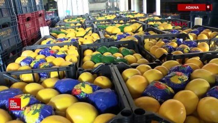 Adana'da halde 40 liraya satılan salatalık, market rafında 87 lira