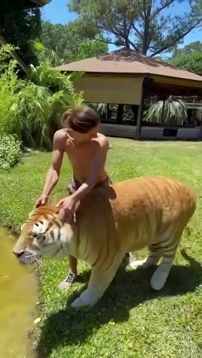 Best Funny Animal Videos of the ye ar (2024)funniest animals ever. relax with cute animals video