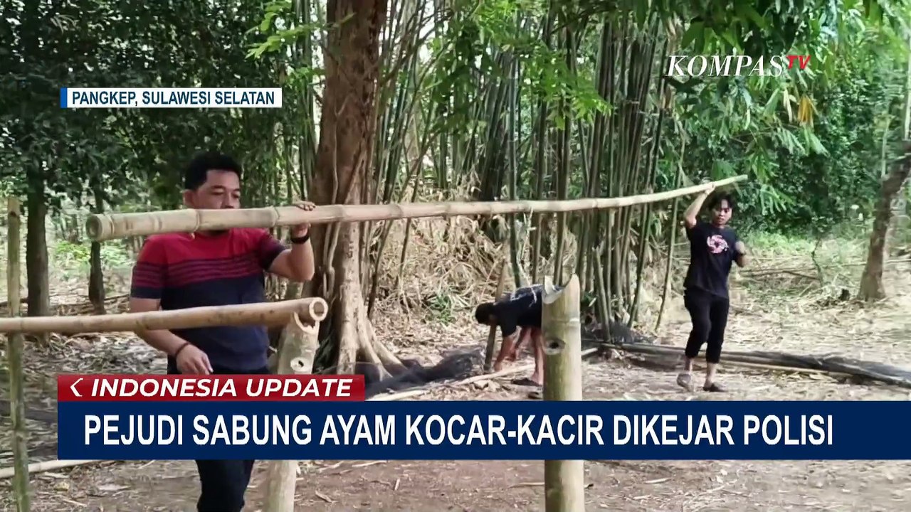 Polisi Gerebek Lokasi Judi Sabung Ayam di Pangkep, Dua Orang Ditangkap
