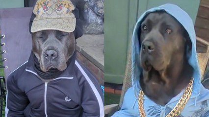 Handlanger verdient 900 Pfund pro Monat, wenn er sich als Mensch ausgibt