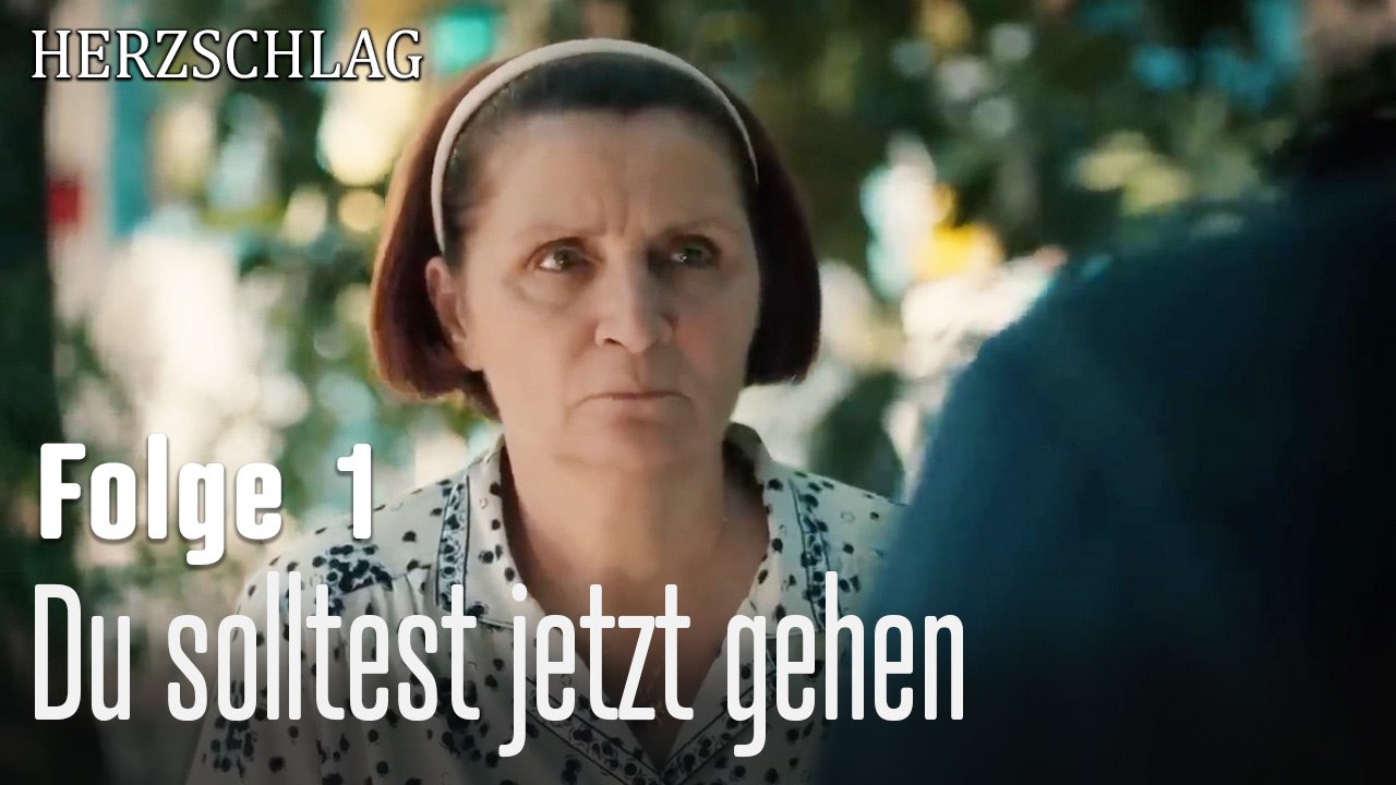 Du solltest jetzt gehen-Herzschlag Folge 1
