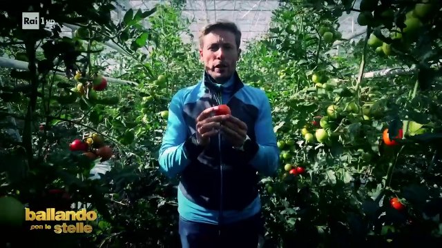 Gli allenamenti di Massimiliano Ossini e Veera Kinnunen - Ballando con le Stelle 28092024