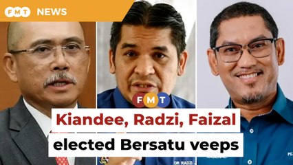 Kiandee, Radzi, Faizal elected Bersatu vice-presidents