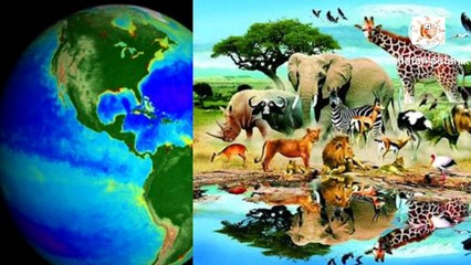 सूर्य देव को जल क्यों चढ़ाना चाहिए सूर्य देव को जल चढ़ाने से क्या फायदा मिलता है