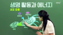 [2025 파이널 체크포인트] 박소현의 생명과학Ⅰ - 01강 1, 2, 5단원 파이널 체크