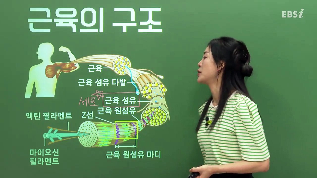 [2025 파이널 체크포인트] 박소현의 생명과학Ⅰ - 02강 전도, 근수축, 방형구법 파이널 체크