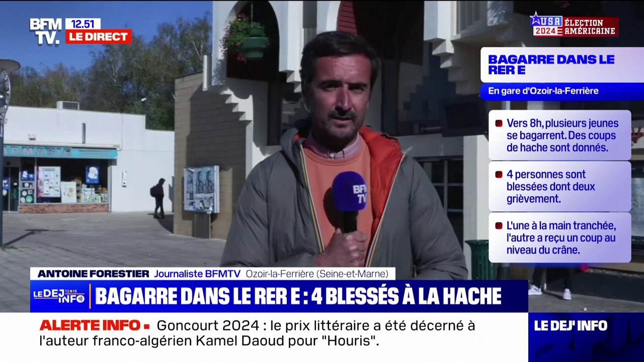 Bagarre dans le RER E: "Ça ne me surprend pas plus que ça", assure une habitante d'Ozoir-la-Ferrière