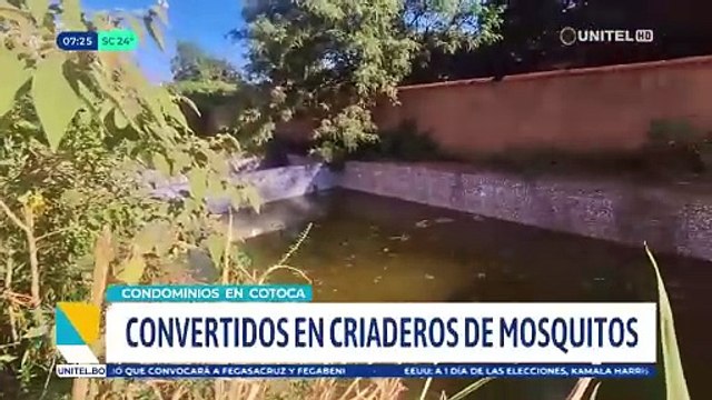 Maleza y daños, viviendas construidas por el Estado están abandonadas en Cotoca