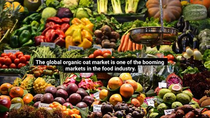 Why the Organic Oats Market is Booming in 2024