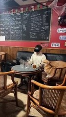 Il a dépensé combien là dedans ???