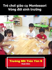 Trẻ trường mầm non Tiền Yên B chưi với giáo cụ Montessori Vòng đời sinh trưởng