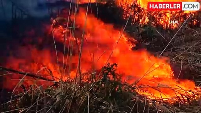 Beyşehir Gölü Milli Parkında Sazlık Yangını