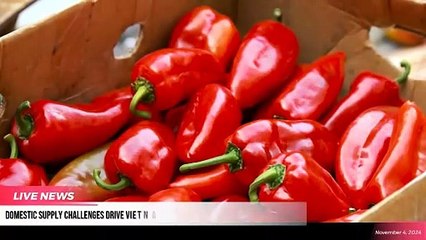 The Supply Chain Report News Roundup - 4th November 2024