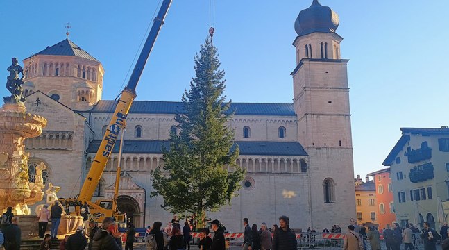 Trento, è già tempo di Natale: l'arrivo in piazza Duomo del grande albero