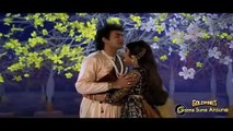 Tum Kya Aaye  /1989 Nache Nagin Gali Gali/ Meenakshi Seshadri,  Udit Narayan