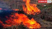 Beyşehir Gölü Milli Parkında Sazlık Yangını
