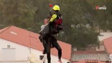 Dramatische Rettung in Valencia: Die Frau, die ihre Katzen und ihren Hund nicht zurückgelassen hat