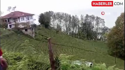 Kontrolden Çıkan Araç Çay Bahçesine Yuvarlandı