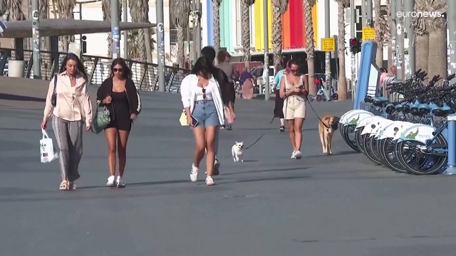 كيف يرى الإسرائيليون مستقبل الدولة العبرية بين وعود هاريس وتجارب ترامب؟