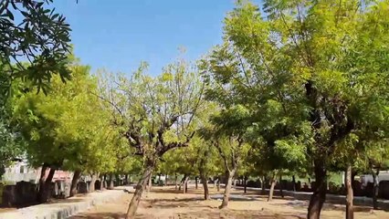 भीलवाड़ा में होगा एक ऐसा पार्क, जिसमें ऑक्सीजन रहेगा भरपूर