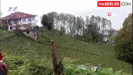 Kontrolden Çıkan Araç Çay Bahçesine Yuvarlandı