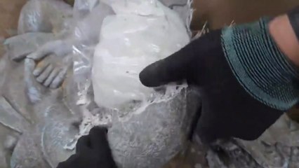 9월까지 마약 574kg 적발...건수 24%·중량 16% 증가 / YTN