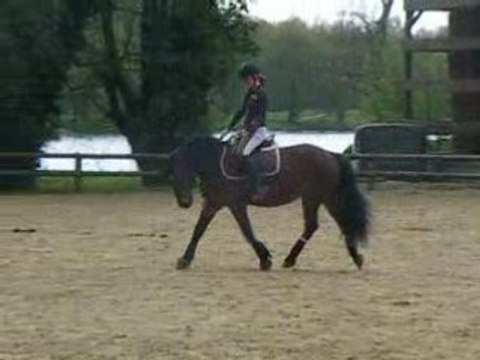 poupette en dressage trot