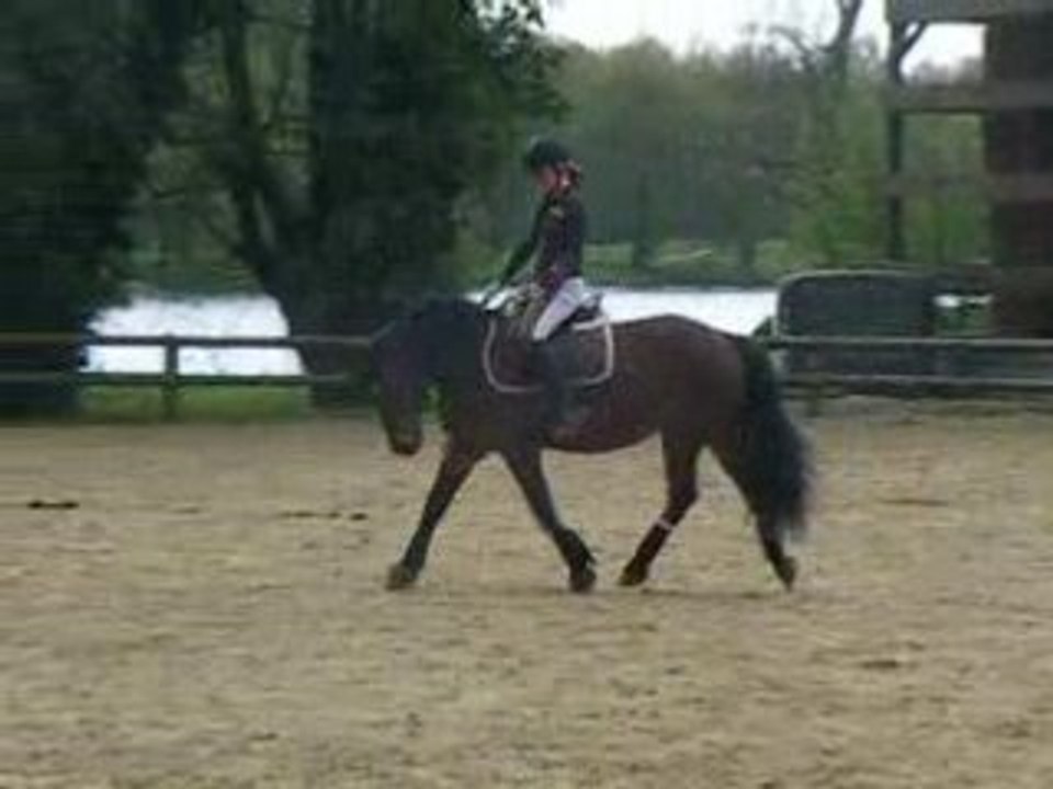 poupette en dressage trot