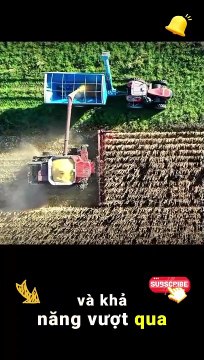 Bài Học Từ Con Lừa Vượt Qua Khó Khăn Bằng Sự Kiên Trì Và Quyết Tâm #shortvideo #shorts