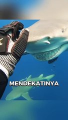 Hiu Ini selalu tersenyum Walaupun Hati kacau