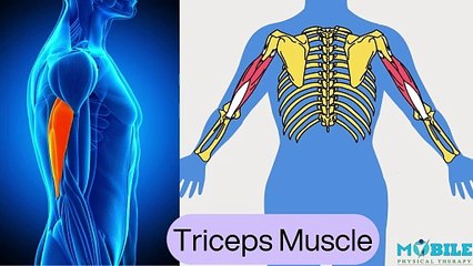 Master the Overhead Tricep Extension